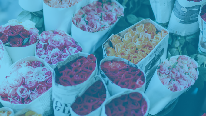 Florist Bulk Roses